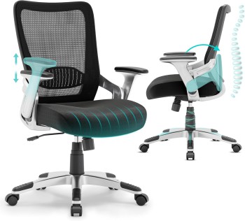 SUNNOW Ergonomic Office Chair (Black)