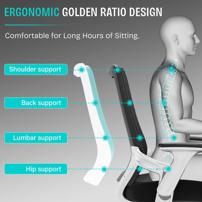 SUNNOW Ergonomic Office Chair (Black) (image 2)
