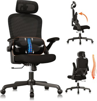 SUNNOW Mesh Office Chair with Lumbar Support & 3D Arms